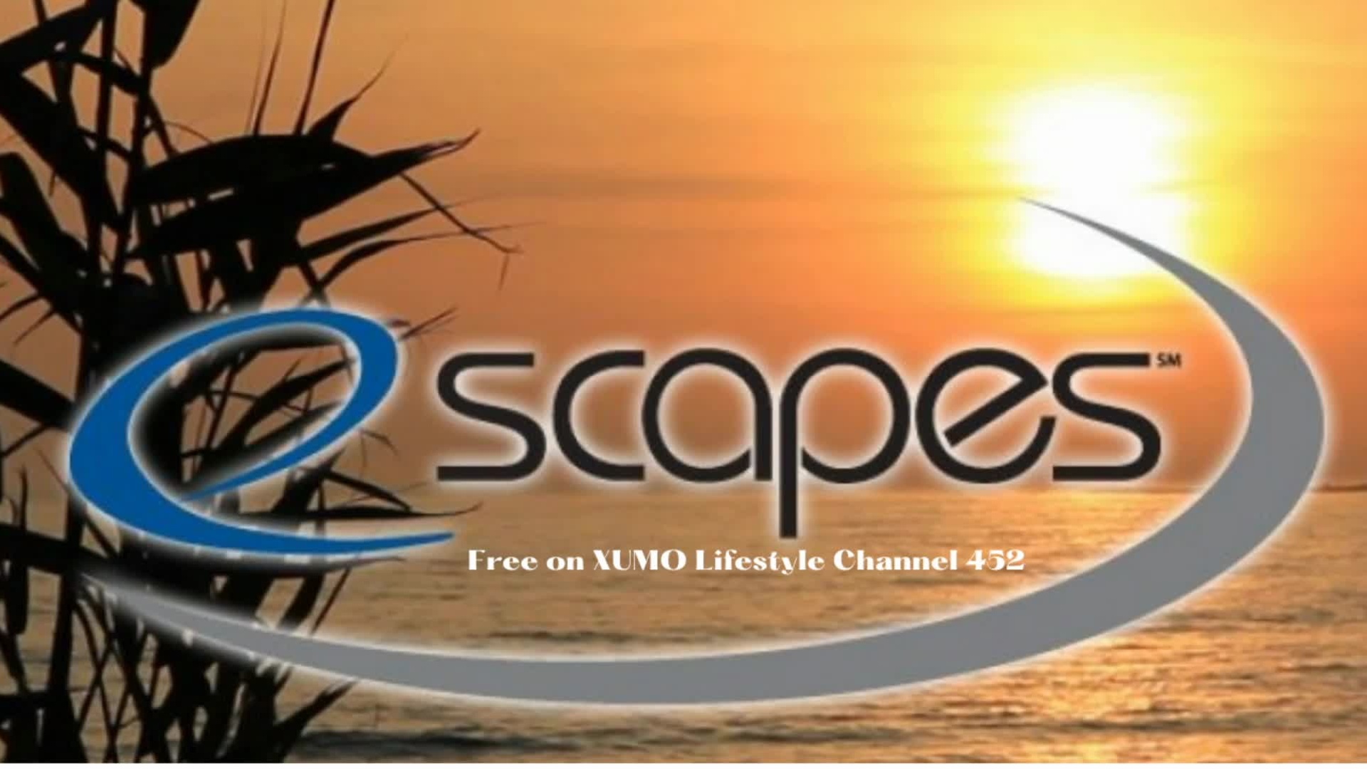 eScapes - Los angeles - Sade