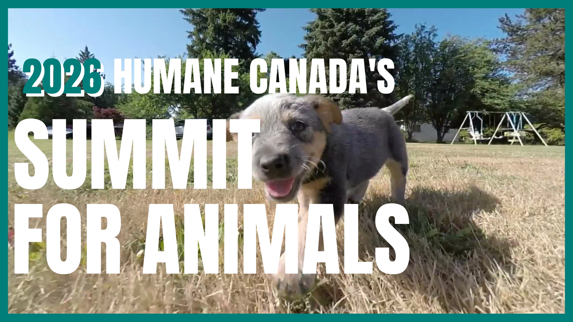 2026 Summit - Post EB