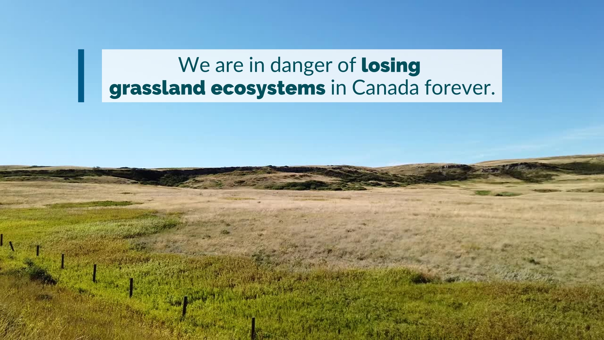 Grasslands 2026 en